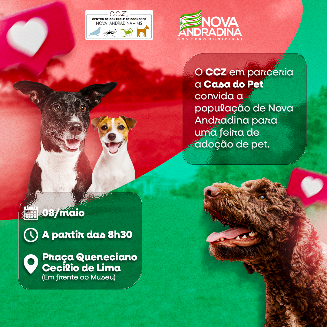 Feira de Adoção de Cães acontece neste sábado Diário MS News