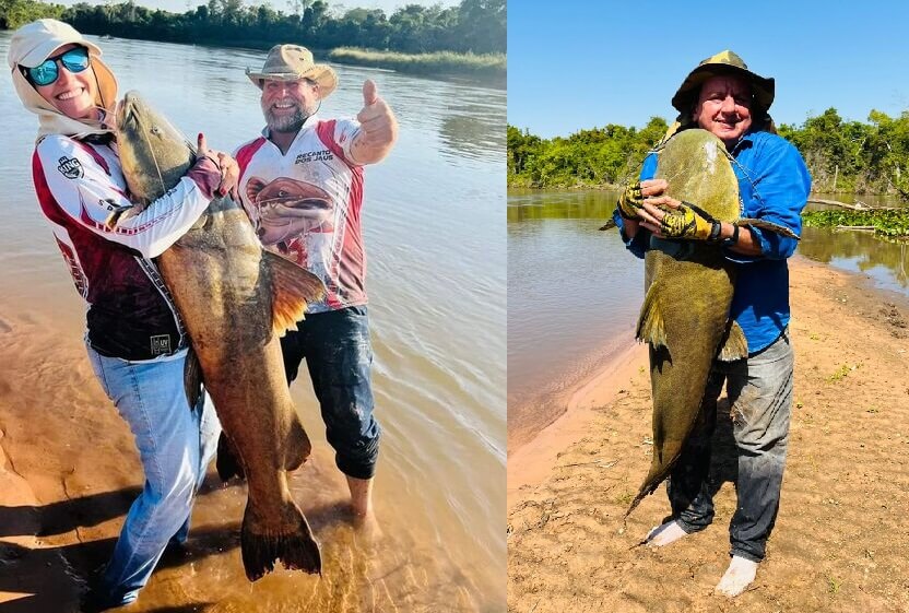 Pescador fisga Jaú de 75 Kg e abraça peixe no Rio Taquari (Vídeo) - Diário  MS News