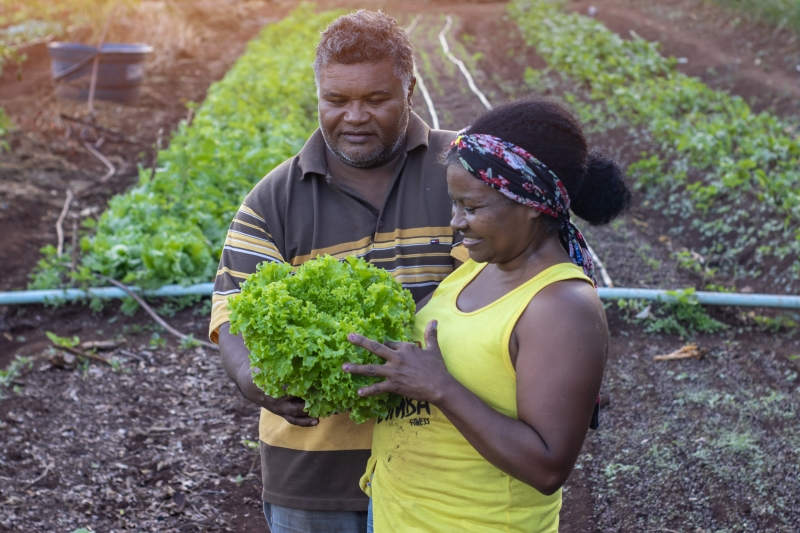 Fapema impulsiona negócios na Feira de Agricultura Familiar e fortalece  economia no Maranhão - O Informante